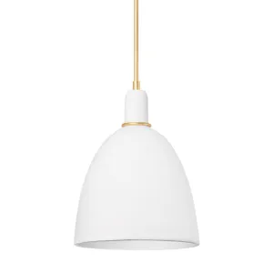 Copake 1-Light Pendant