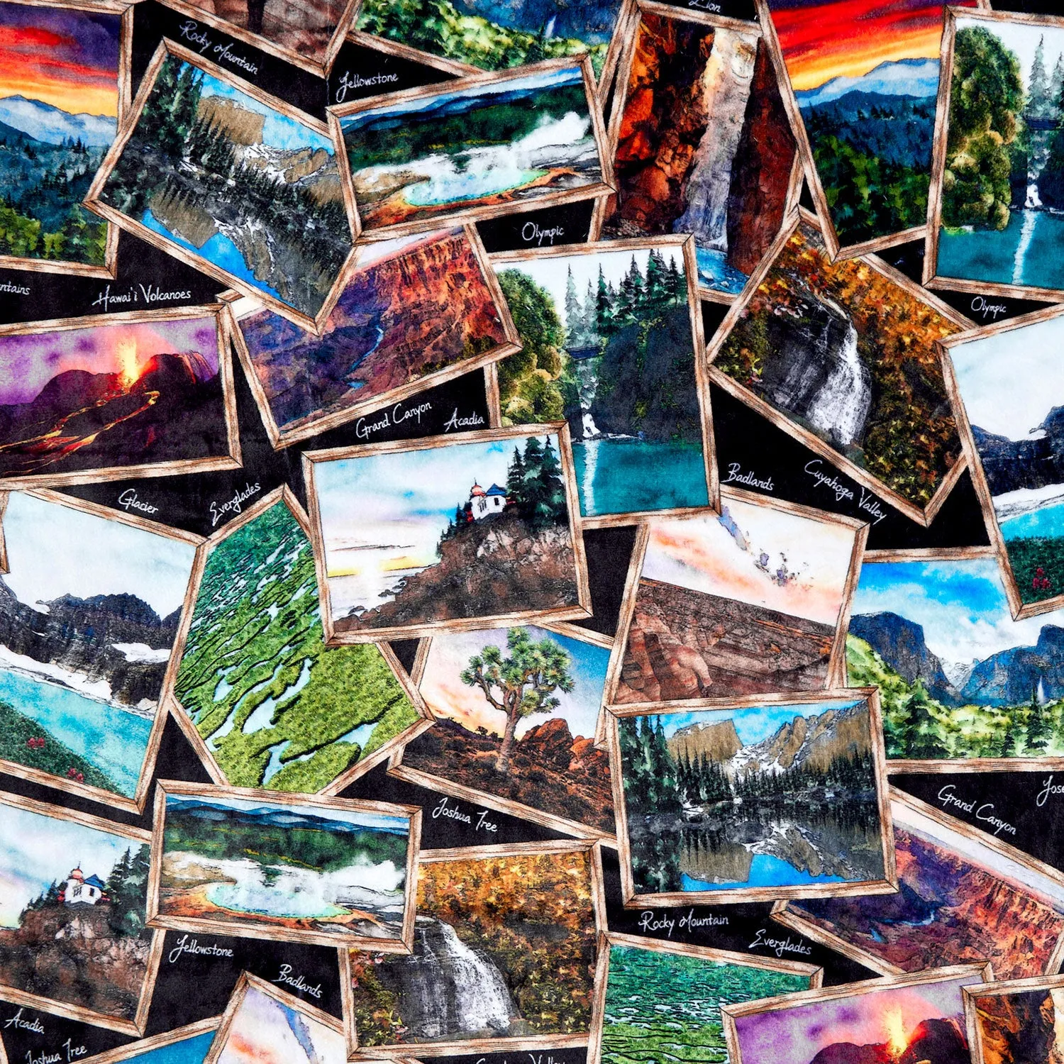 Cuddle® Prints - National Parks Black Digitally Printed Yardage