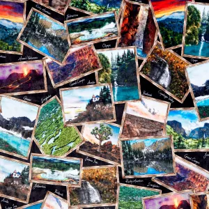 Cuddle® Prints - National Parks Black Digitally Printed Yardage