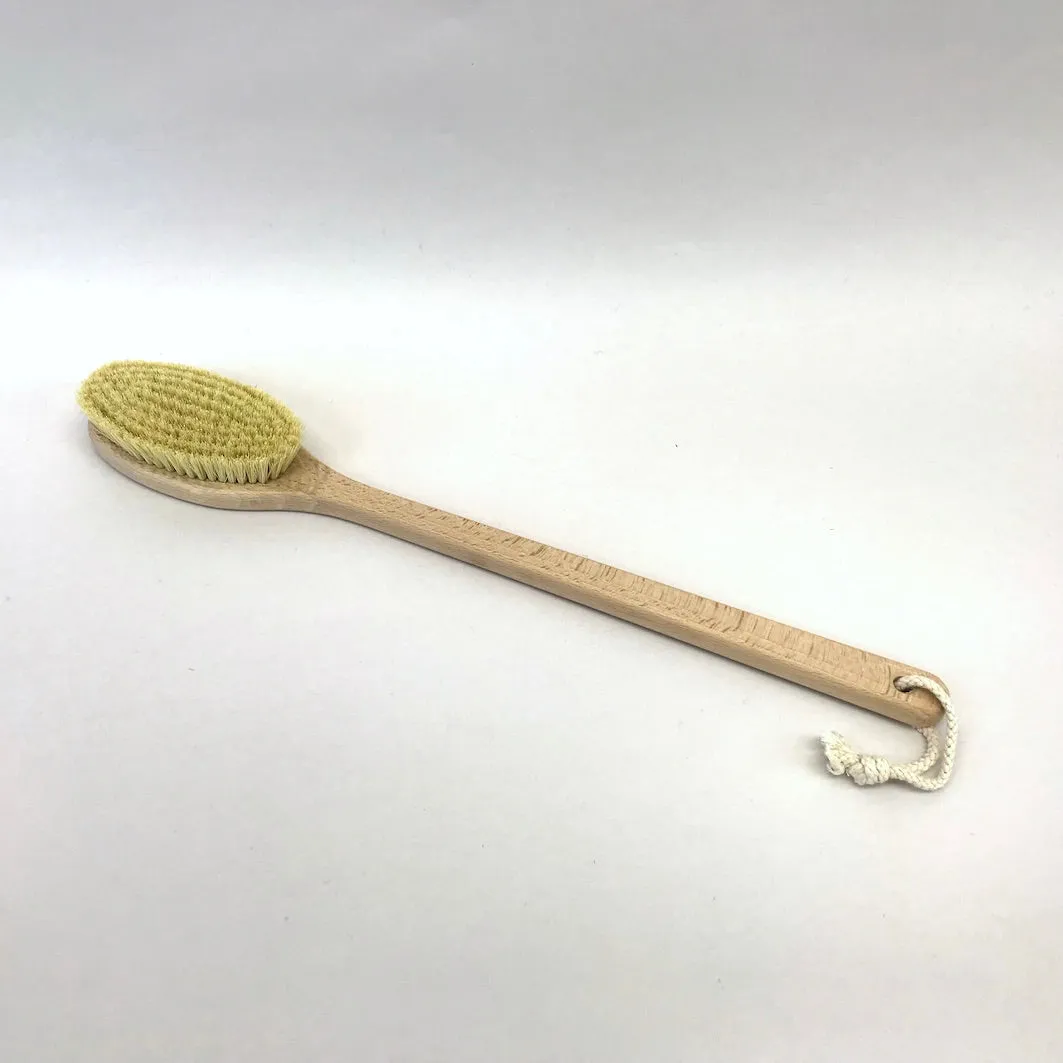 Long handled bath brush
