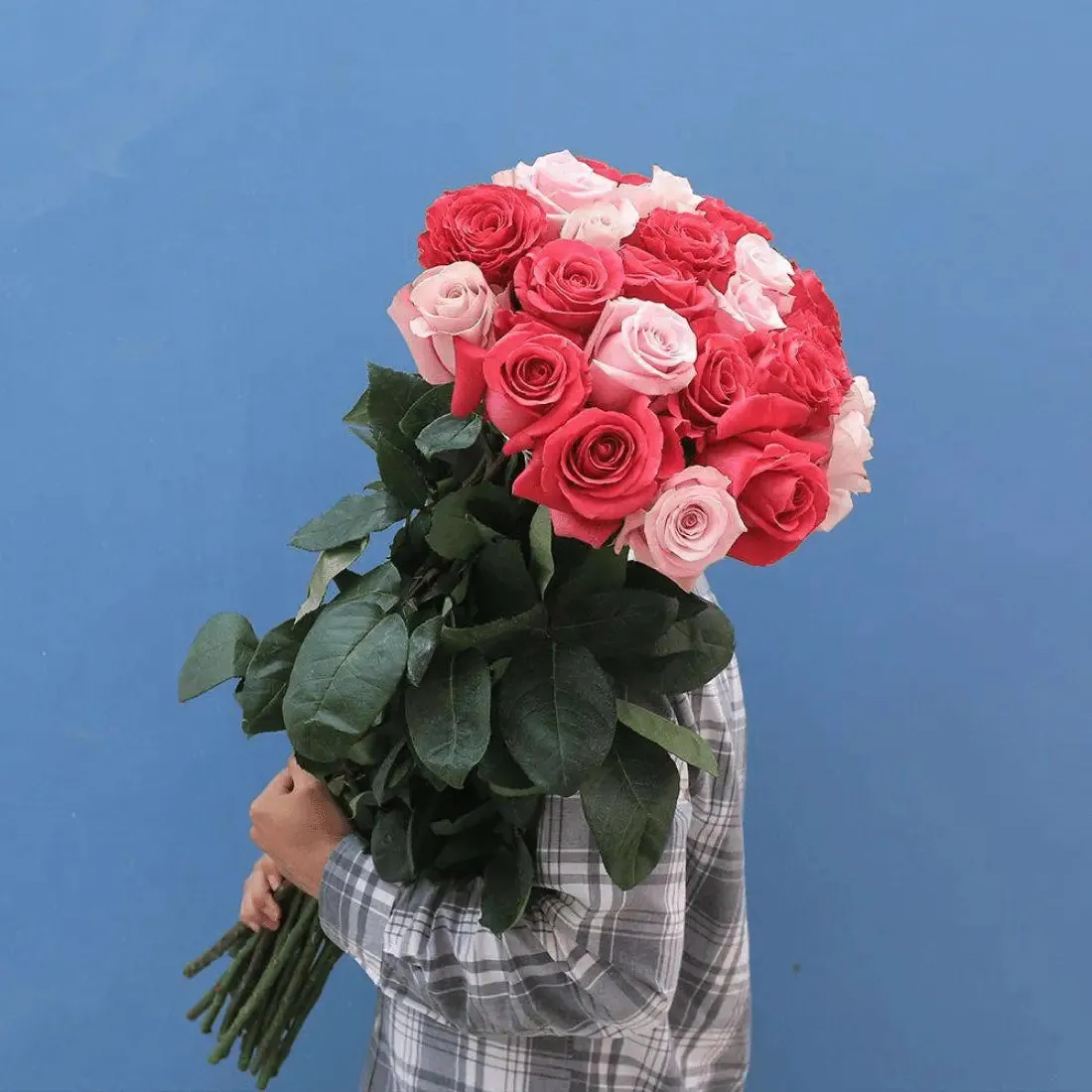 Long Stem White Roses  | Harvested Fresh 24 Inches