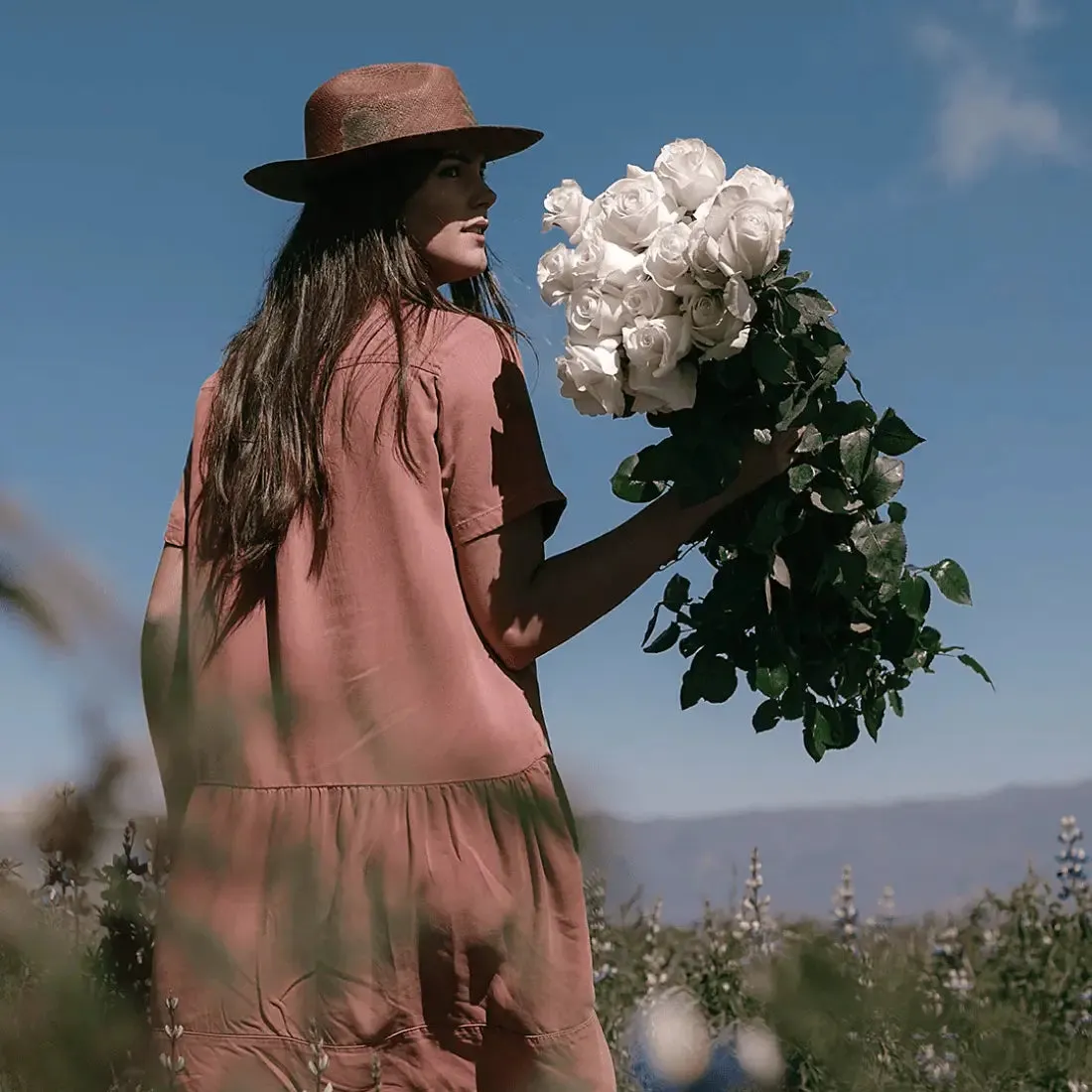 Long Stem White Roses  | Harvested Fresh 24 Inches