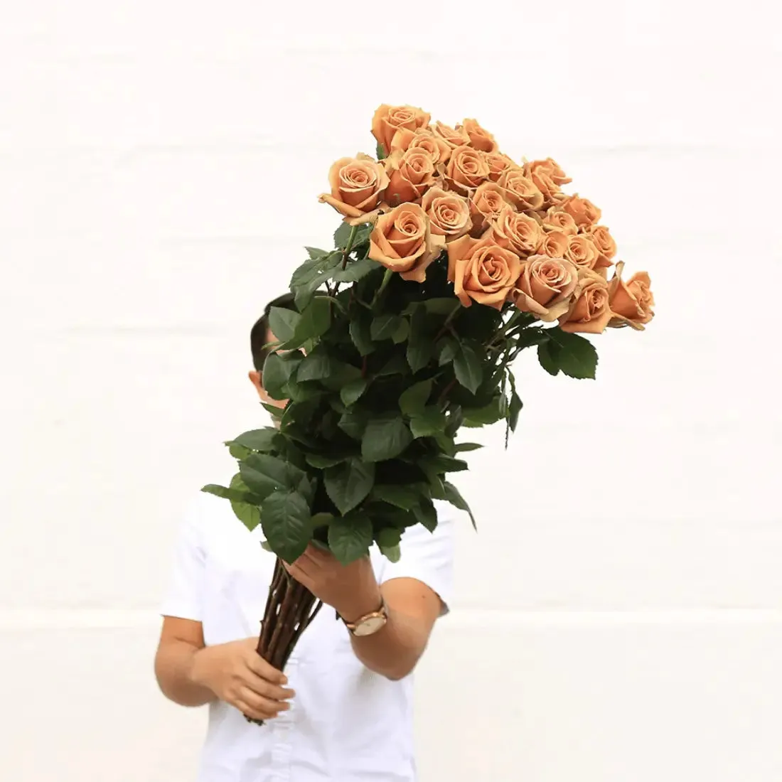 Long Stem White Roses  | Harvested Fresh 24 Inches