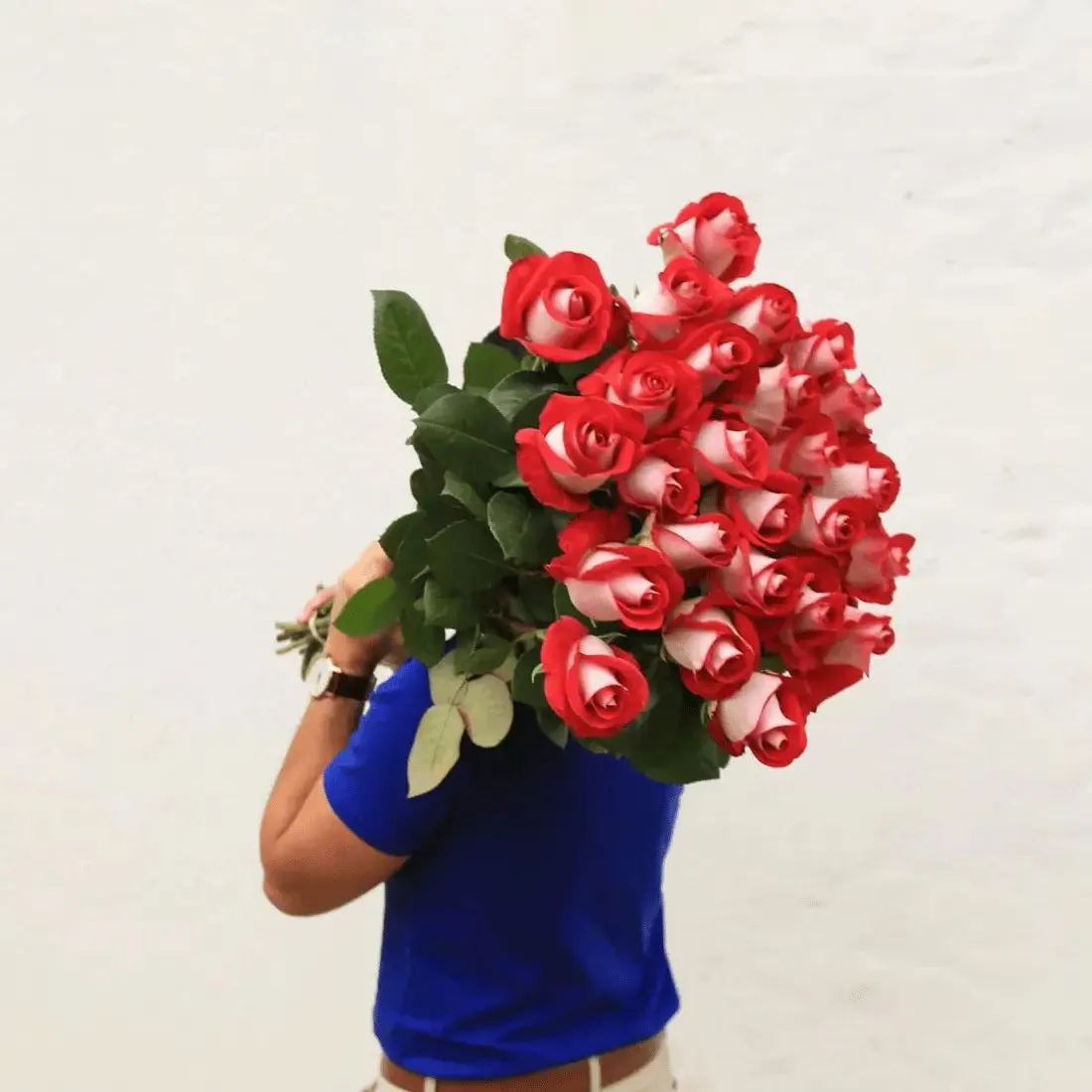 Long Stem White Roses  | Harvested Fresh 24 Inches