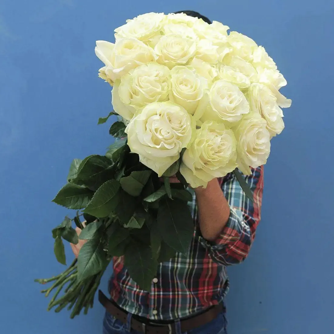 Long Stem White Roses  | Harvested Fresh 24 Inches