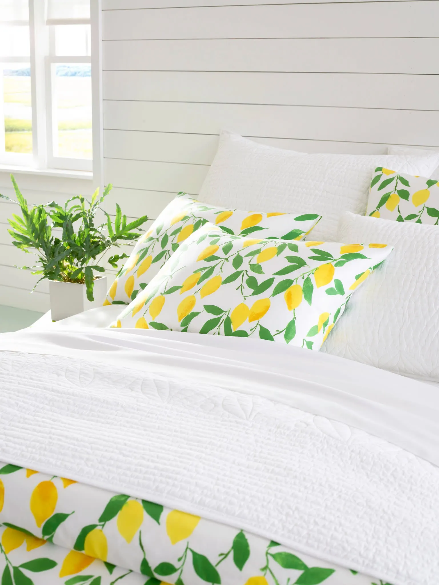 Tea & Toast White Quilted Sham