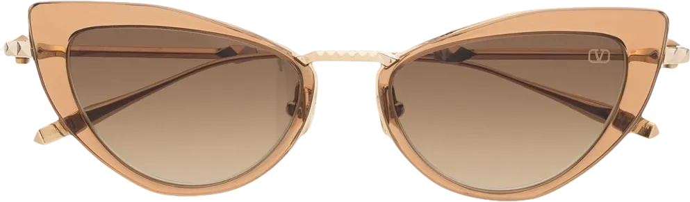 Valentino Brown Viii - Cat-eye Titanium And Acetate Stud Frame