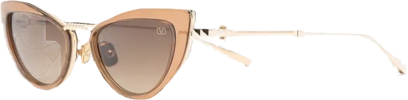 Valentino Brown Viii - Cat-eye Titanium And Acetate Stud Frame